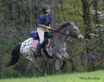 National Championship Endurance Ride & CTR - Appaloosa Horse Club