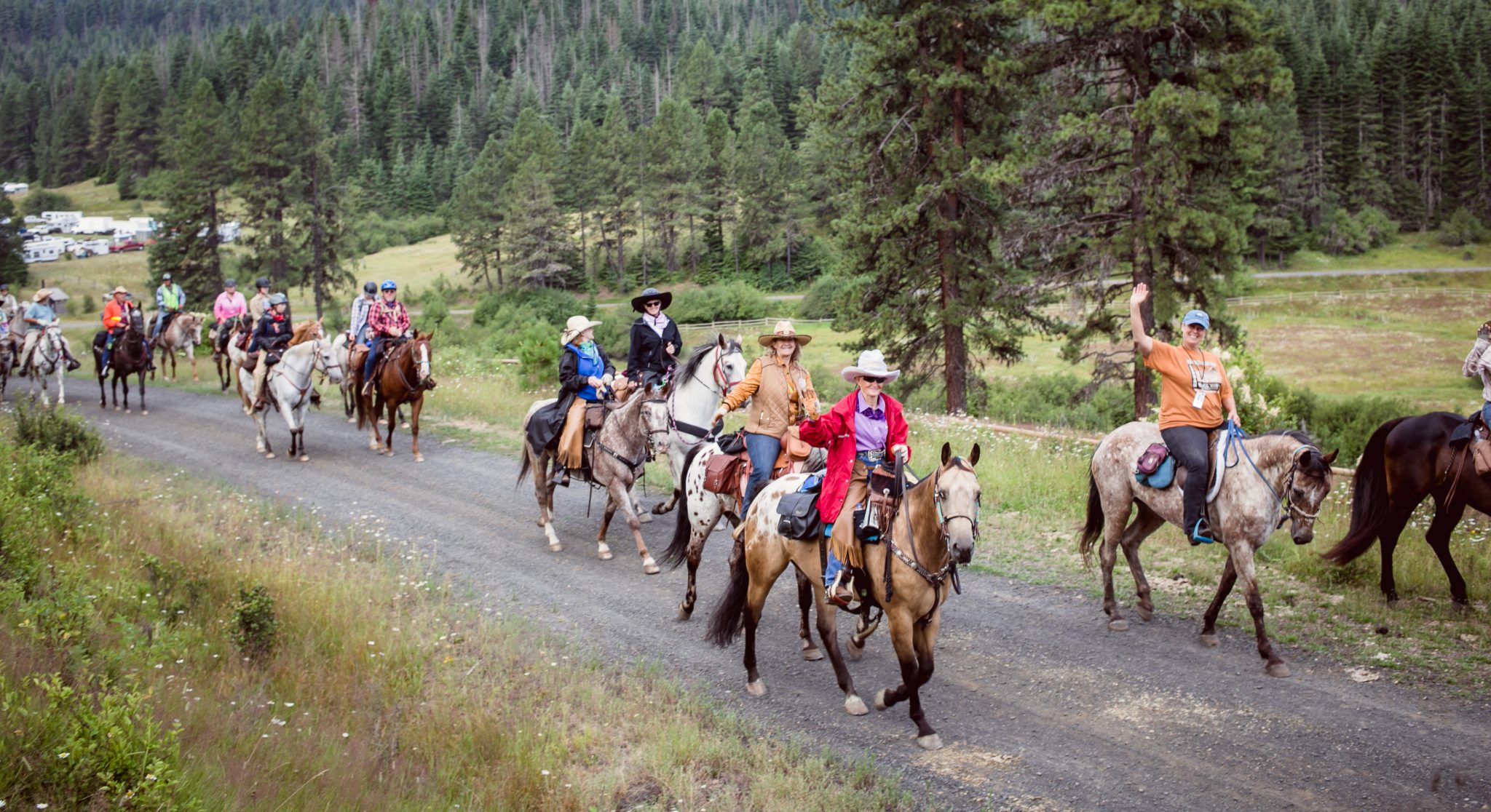 Home Appaloosa Horse Club