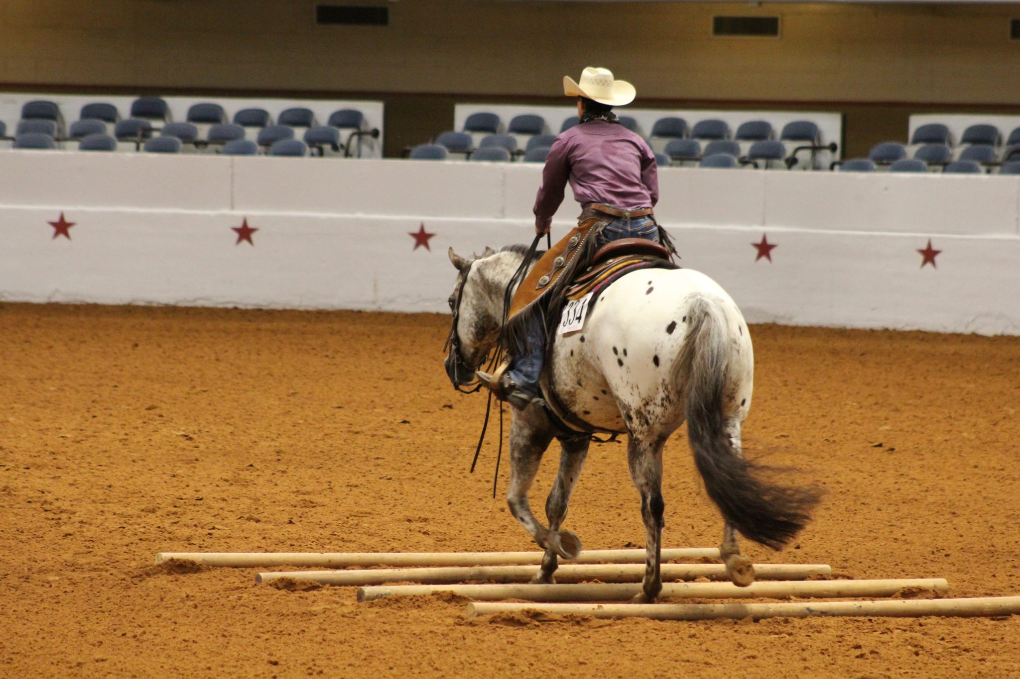 ApHC Board Reduces Late Fees for World Show Appaloosa Horse Club