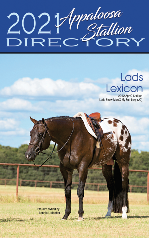 2021 Appaloosa Stallion Directory Online Now Appaloosa Horse Club