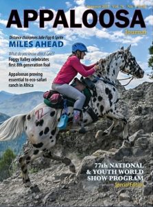 2025SummerJournalCover 2025SummerJournalCover